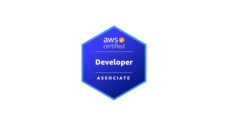 Amazon AWS Certified Developer - Associate Practice Exams - SilkCourses.com