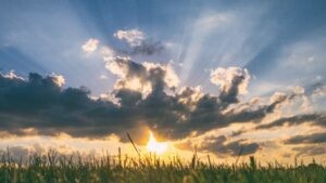 Caregiver Education Through the Implementation of PATH-s