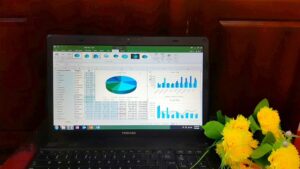 Advanced Microsoft Excel Formulas & Functions – 2023