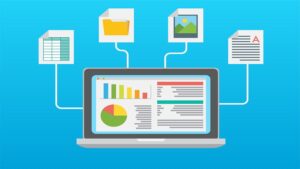 Cyber Crime and Fraud Management: Online Fraud Protection