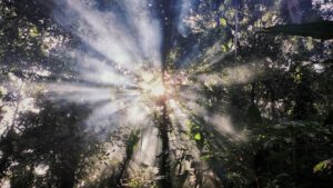 HOW TO FIND YOUR WHOLE SELF