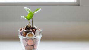 Skills to Sales: Unleashing Niche Profit Potential