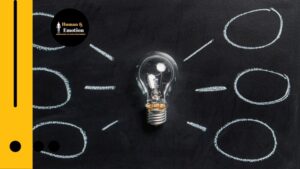 Standardization in ISO, ITIL, CMMI, BPM, Lean & Six Sigma
