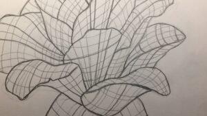 Basic Line Drawing for Beginners