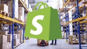Ecommerce Theory For The Newbie: The Business Side