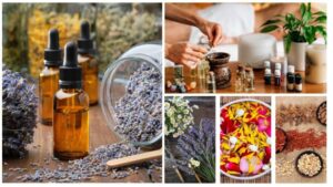 Essential Oils Alchemy: Transform Your Health and Home