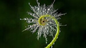 Sacred Geometry and Symbols
