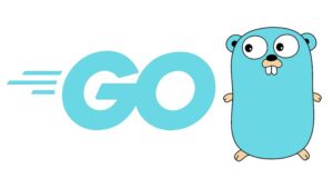 Mastering Go: From Beginner to Expert