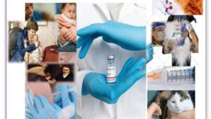 All about vaccine and vaccnation
