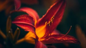 Meditation for Fear, Panic & Pandemic