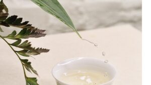 Tea and Meditation