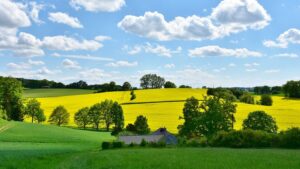 Tips to grow from good to great developer