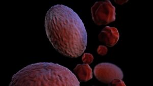 The Prevention And Control Of Cholera