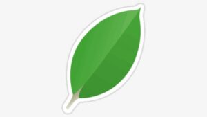 Learn MongoDB From Scratch For Beginners to Advance
