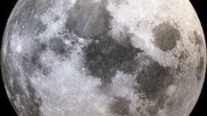 The Environmental Impacts of Space Flight