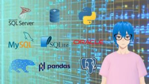 Install SQLServer MySQL Oracle Postgres SQLite Pandas Polars