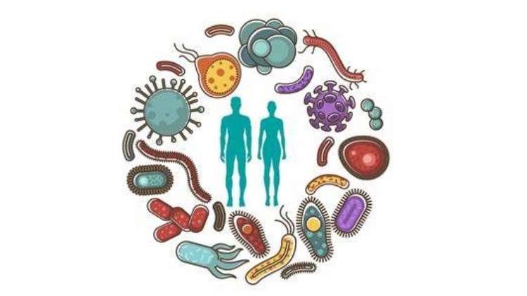 Microbiome Online Course