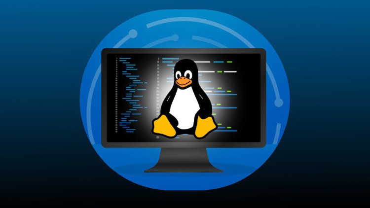 Learn Linux: Mastering Installation to Scripting (2025)