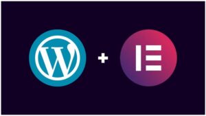 WordPress Web Design & Freelancing MasterClass [2025]