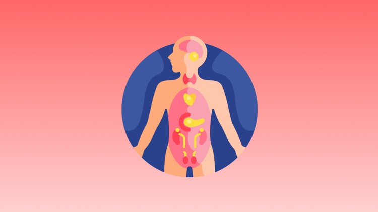 Crash Course Anatomy