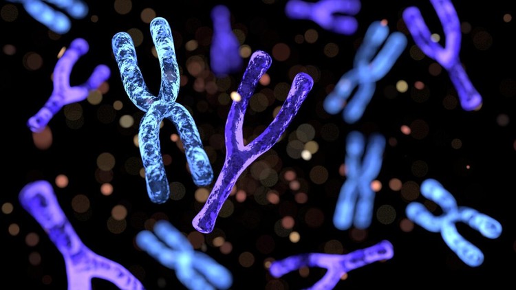 DNA Mutation & Genetic Disorders