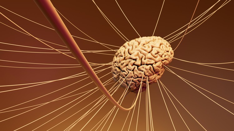 Emotional Intelligence Skills Training certification