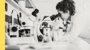 Faculty Development Program in Research and Innovation