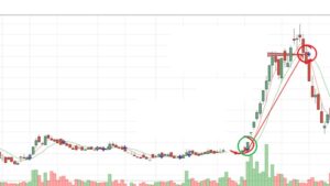 I Made 15 Million Profit From Stocks And How You can too