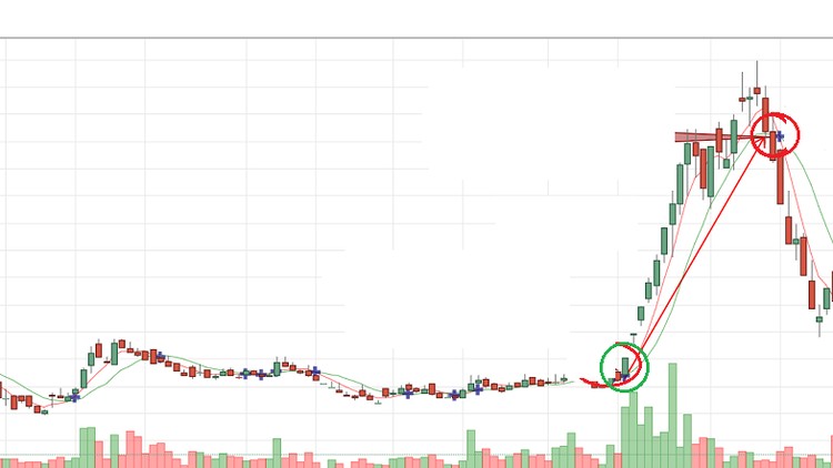 I Made 15 Million Profit From Stocks And How You can too