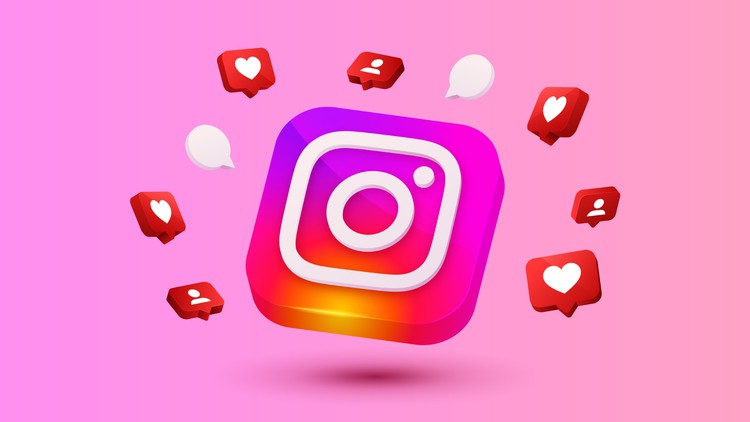 Instagram Marketing : The 2-in-1 Course for Stories & Reels