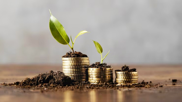 Mastering Microfinance 101