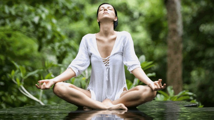 Meditation Practitioner and Coach