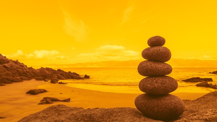 Mindfulness Certification Training Course: Complete Course