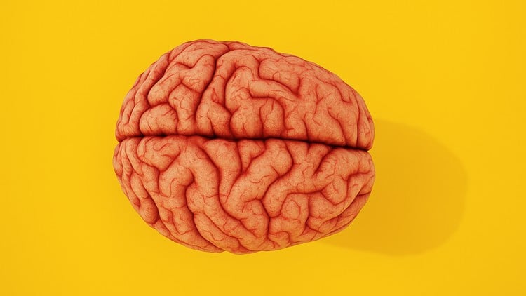 NLP for Success: Rewire Your Mind for Confidence and Focus
