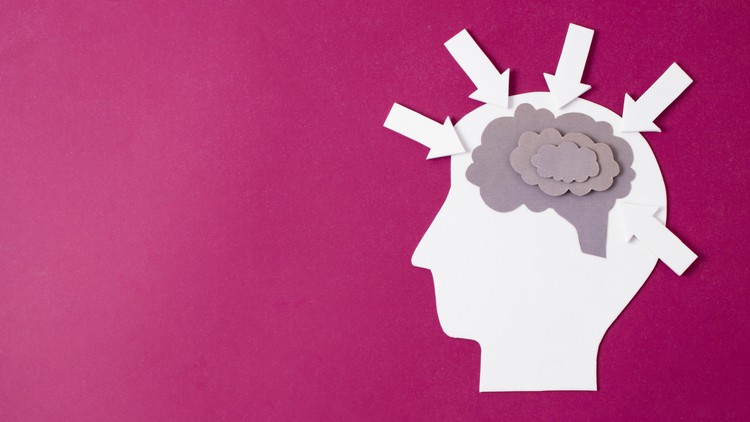 Neuroplasticity Ultimate Course