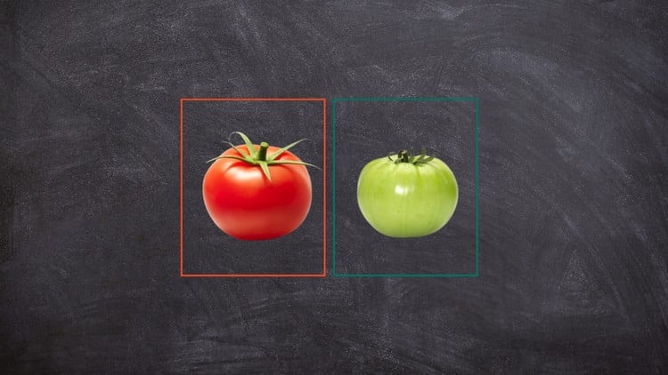 Real-World Object Detection: Waste Sorting & Tomato Ripeness