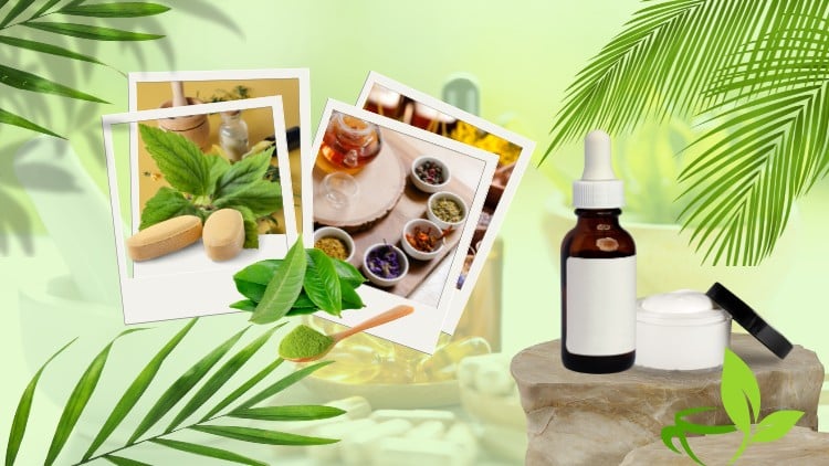The Art of Herbalism: From Roots to Remedies