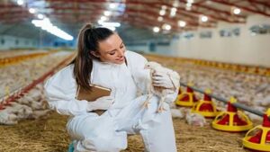 poultry farming Broiler farming crash course