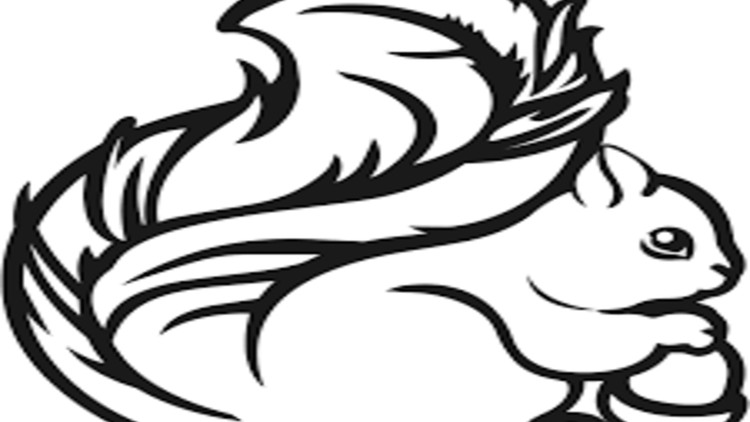 Apache Flink: A Basic Videocourse