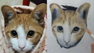 Painting a Cat