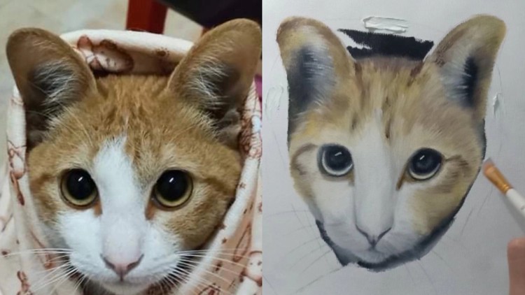 Painting a Cat