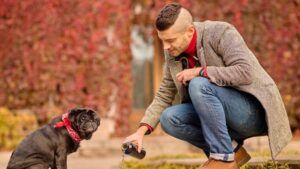 Certified Pet Nutritionist: Ration, Diet & Animal Nutrition