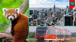Beyond Profit: ESG for a Sustainable Future