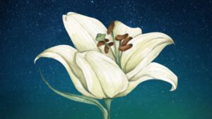 A Course in Miracles – 'Course Cosmology' Series