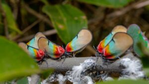 How To Transform Your Life – Practical Ways