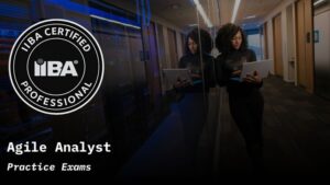IIBA-AAC Agile Analyst Practice Exams