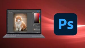 Adobe Photoshop Cc For Absolute Beginner To Advanced