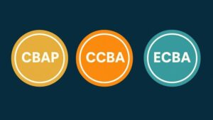 CBAP, CCBA & ECBA Practice Tests  800+ BABOK v3 Questions