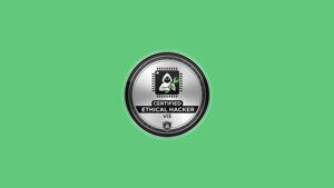 Certified Ethical Hacking Practice Exams (Independent)