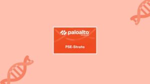 Palo Alto Networks PSE-Strata System Engineer Practice Exams